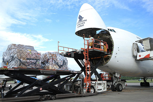 Cargo