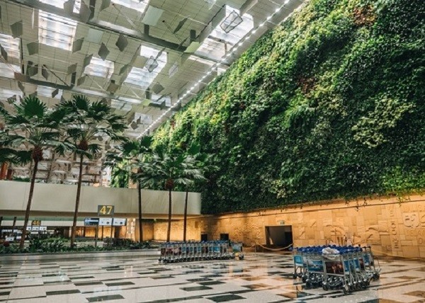 Refreshed Green Wall breathes new Life into Terminal 3