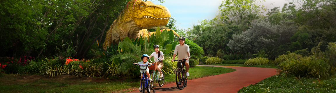 Free Bicycle Rides