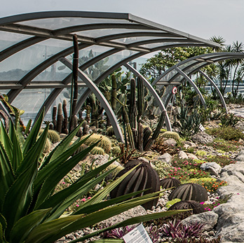 The Discovery Garden at T1 features tree-like sculptures and