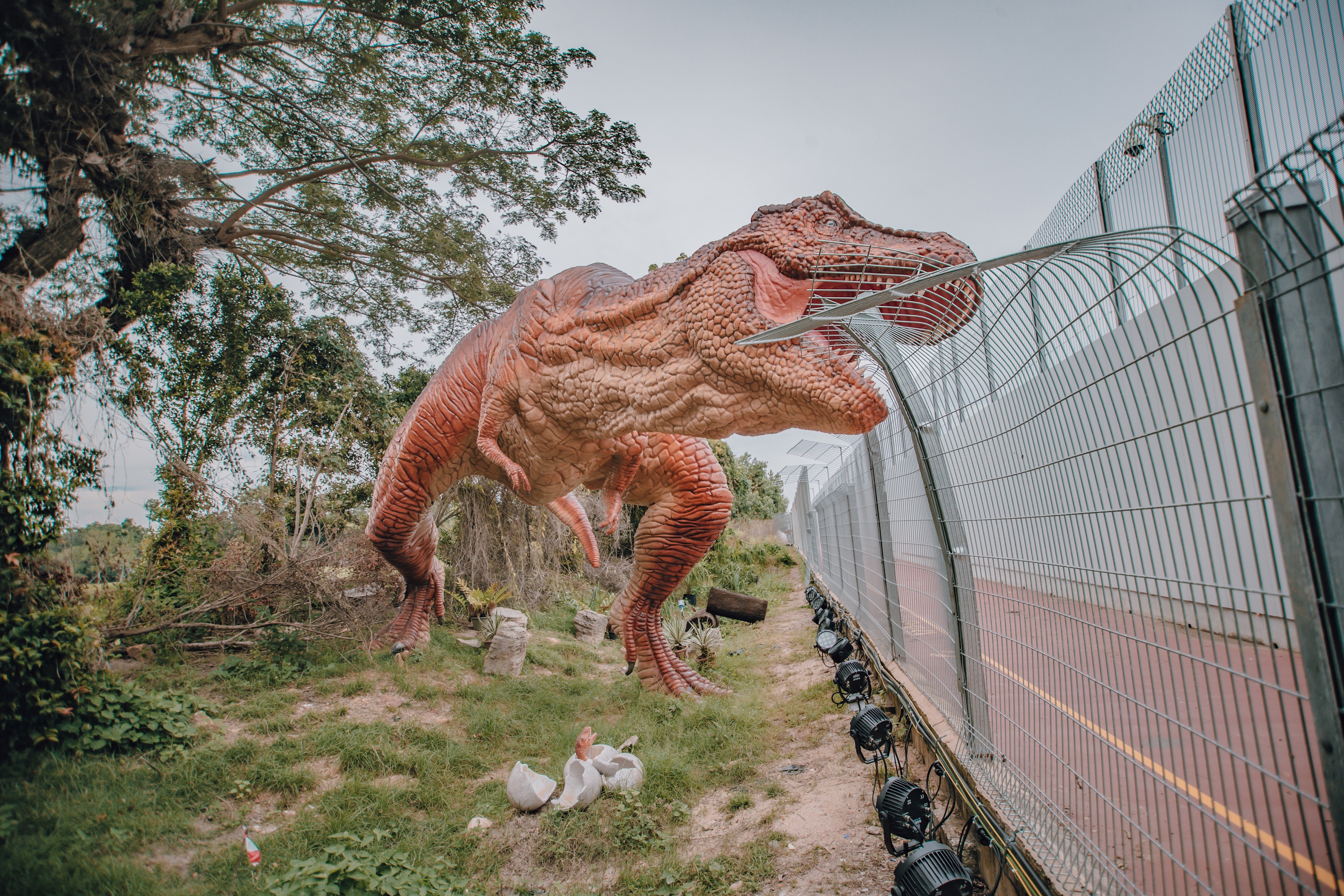 Jurassic Mile