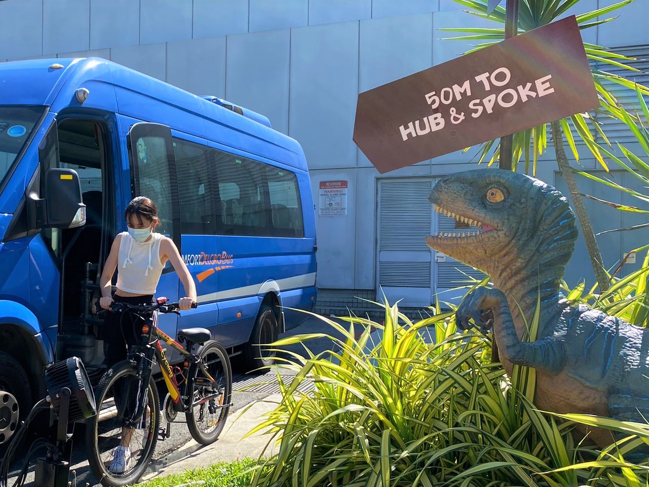 Bicycle Transport Services
