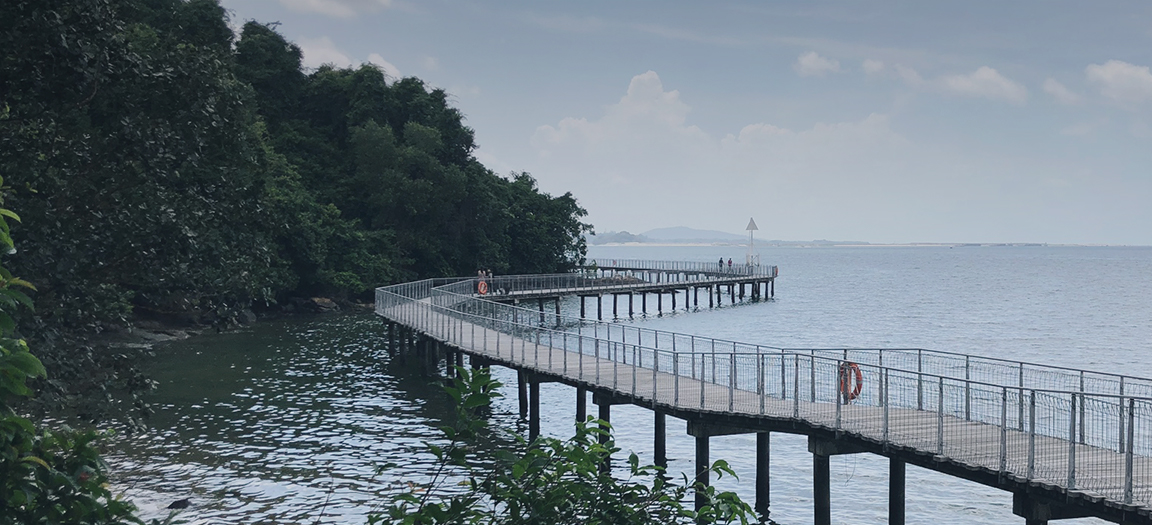 Discover Singapore
