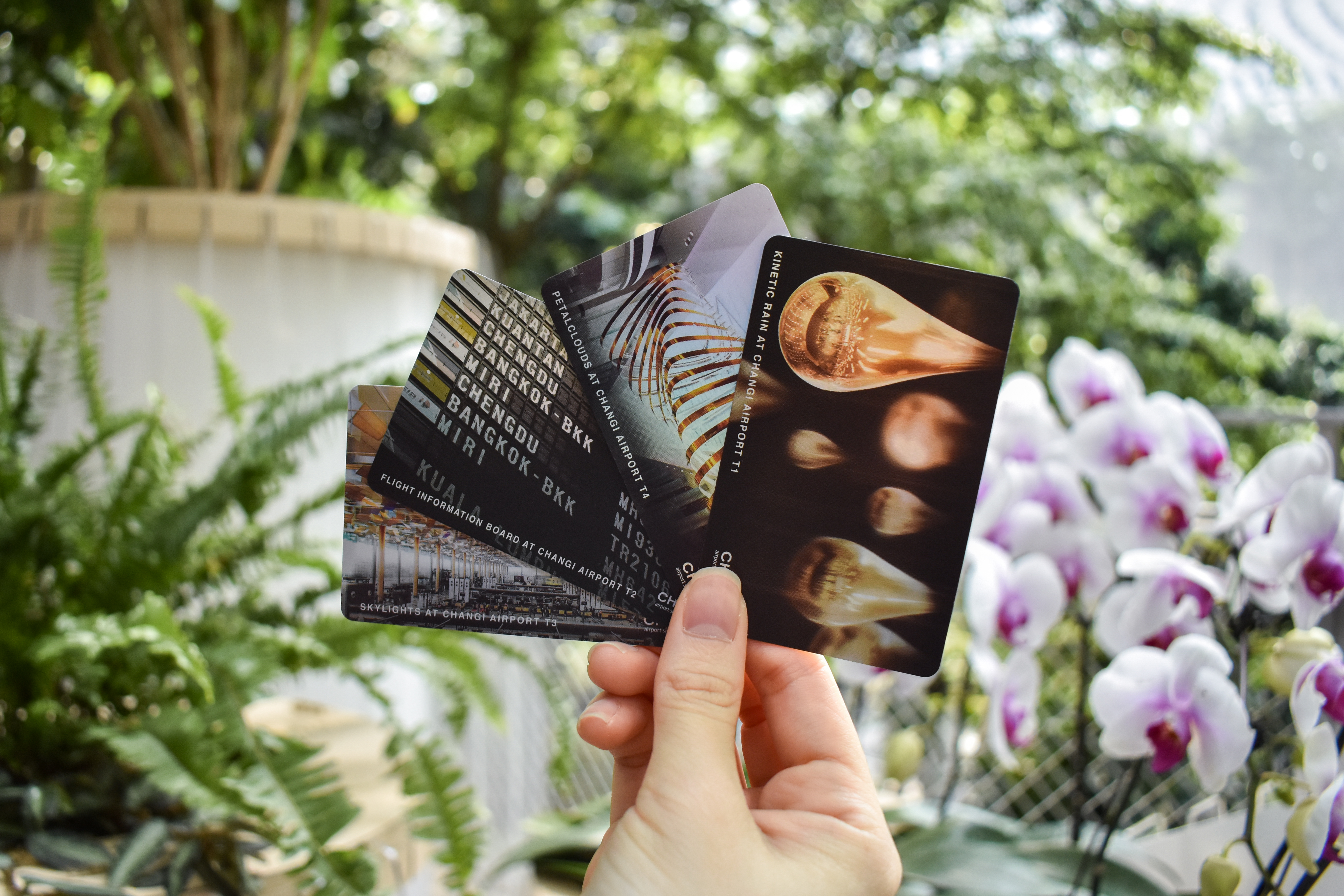 Jewel Gift Card Balance Online - kapoemaoli