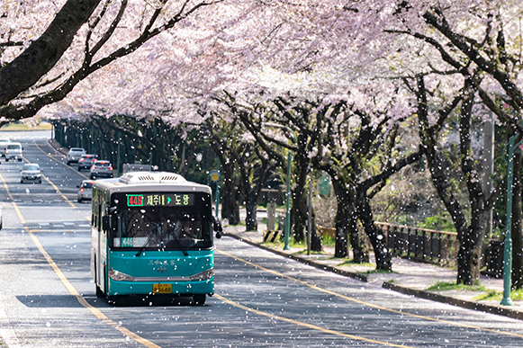 korean air singapore to south korea