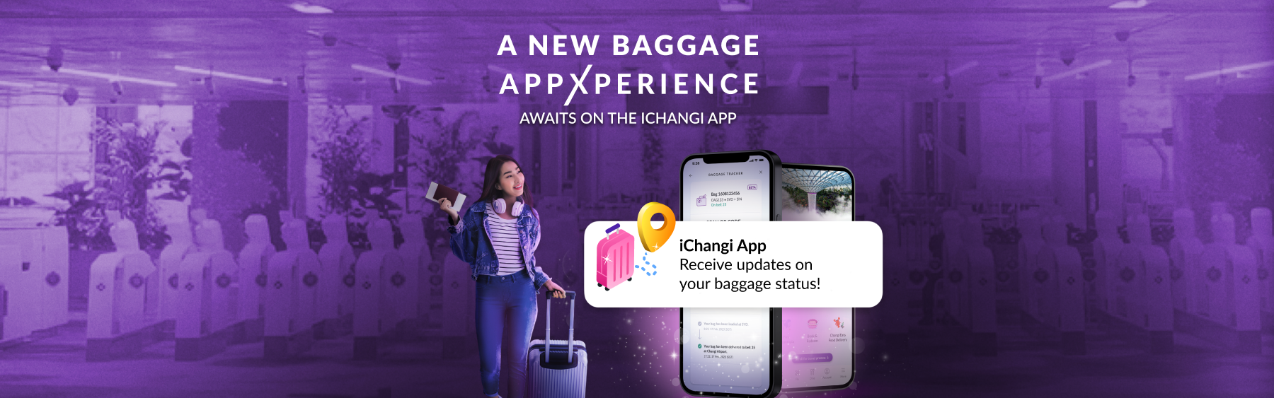 iChangi Baggage Tracker