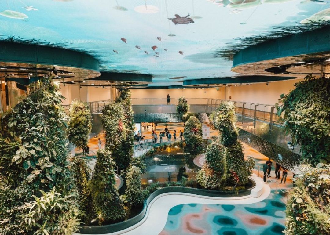 dreamscape changi airport