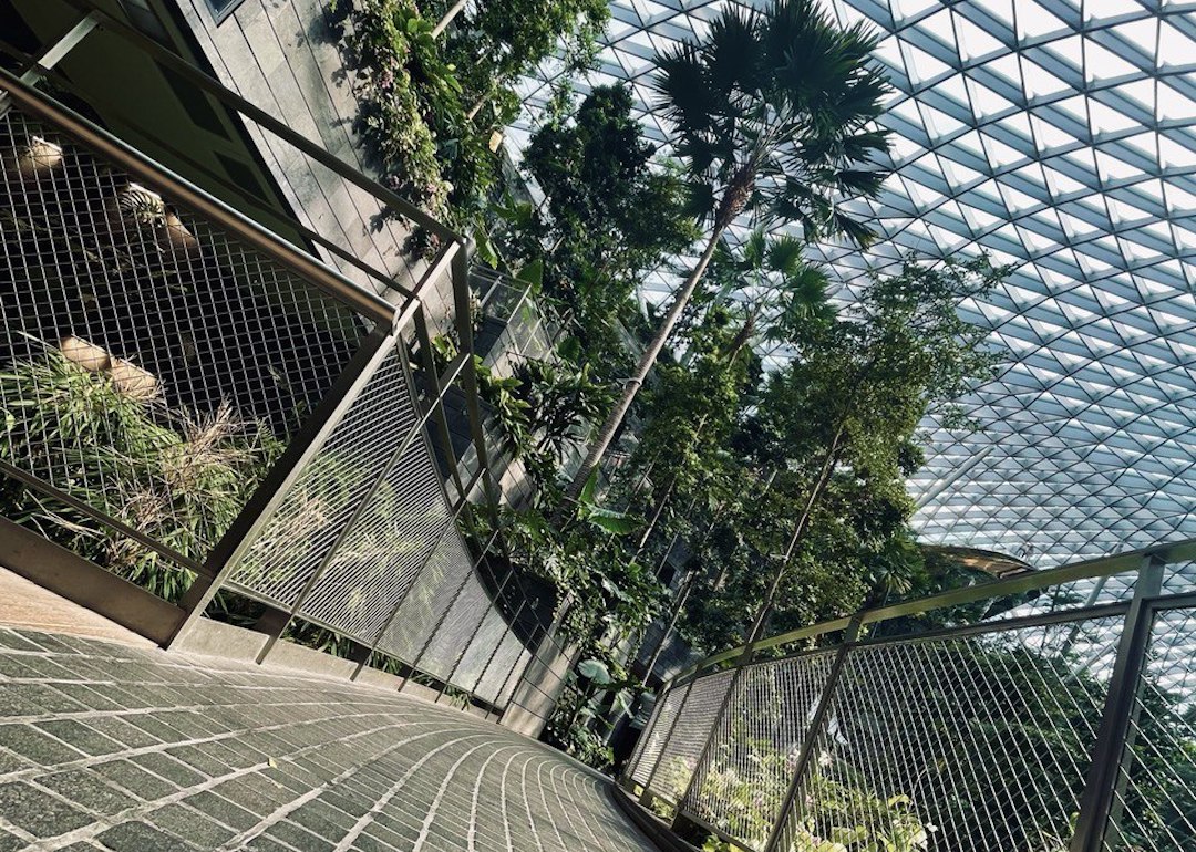instagrammable places in singapore at shiseido forest valley, jewel changi airport