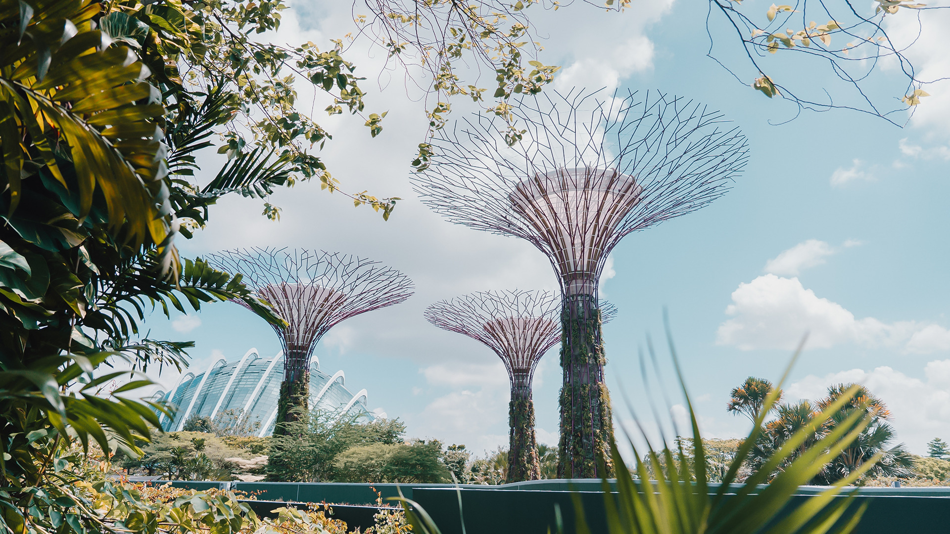 Free Singapore Tour  
