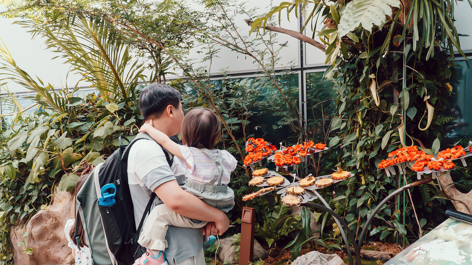 Free Singapore Tour  