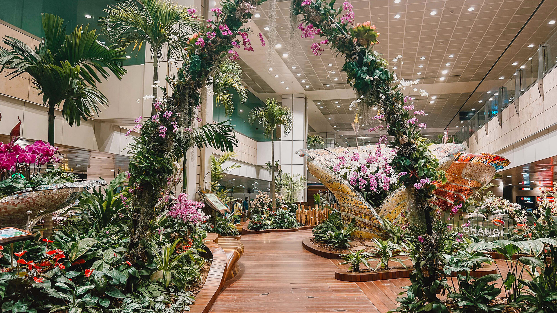 Enchanted Garden
