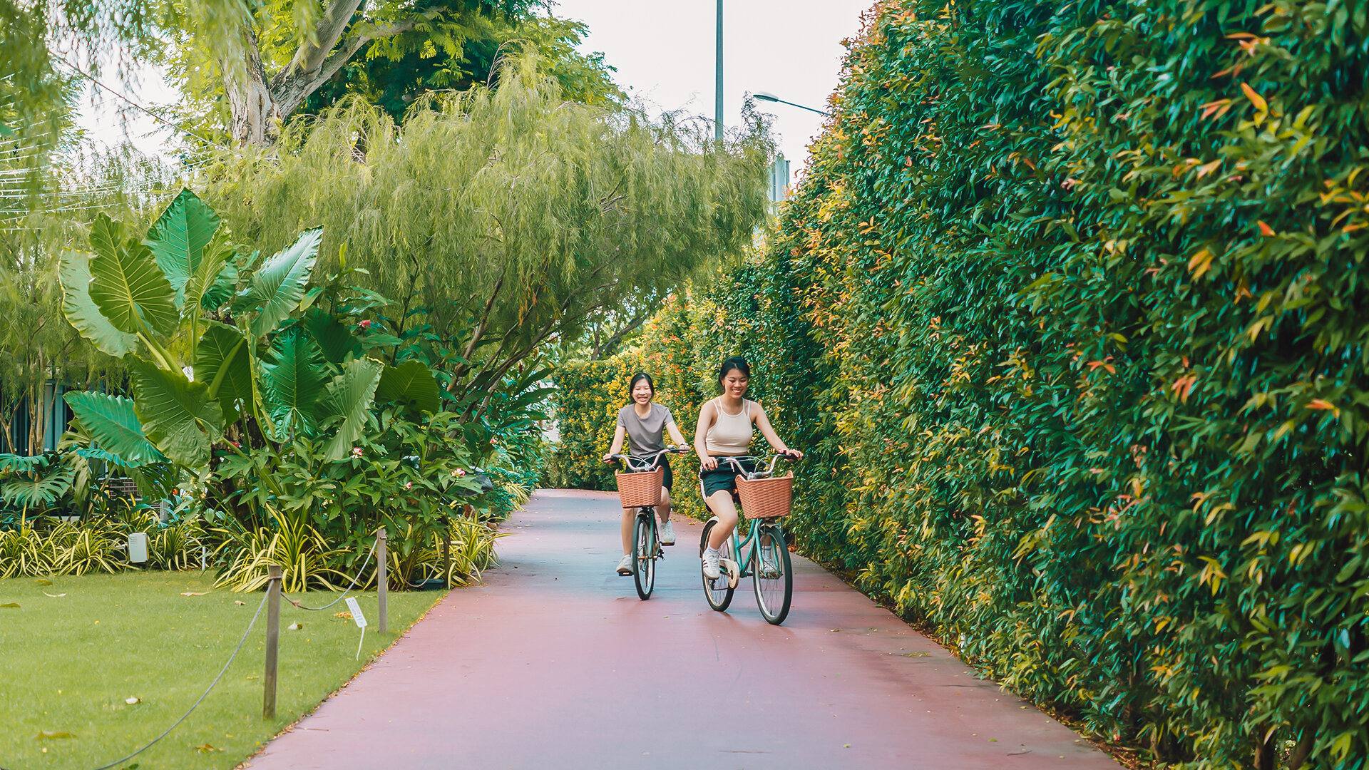 2-Hour Free Bicycle Ride 