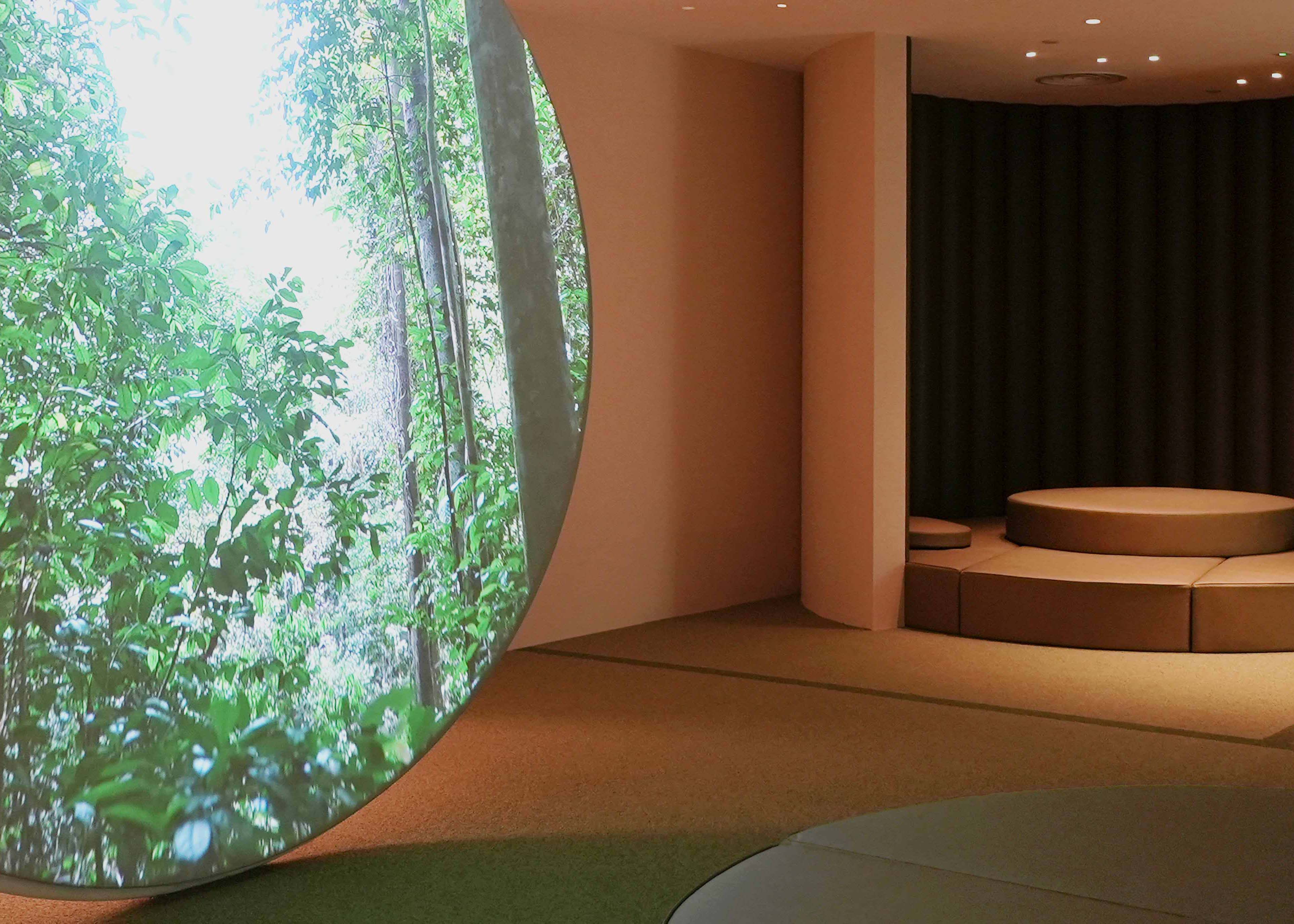 Calm room