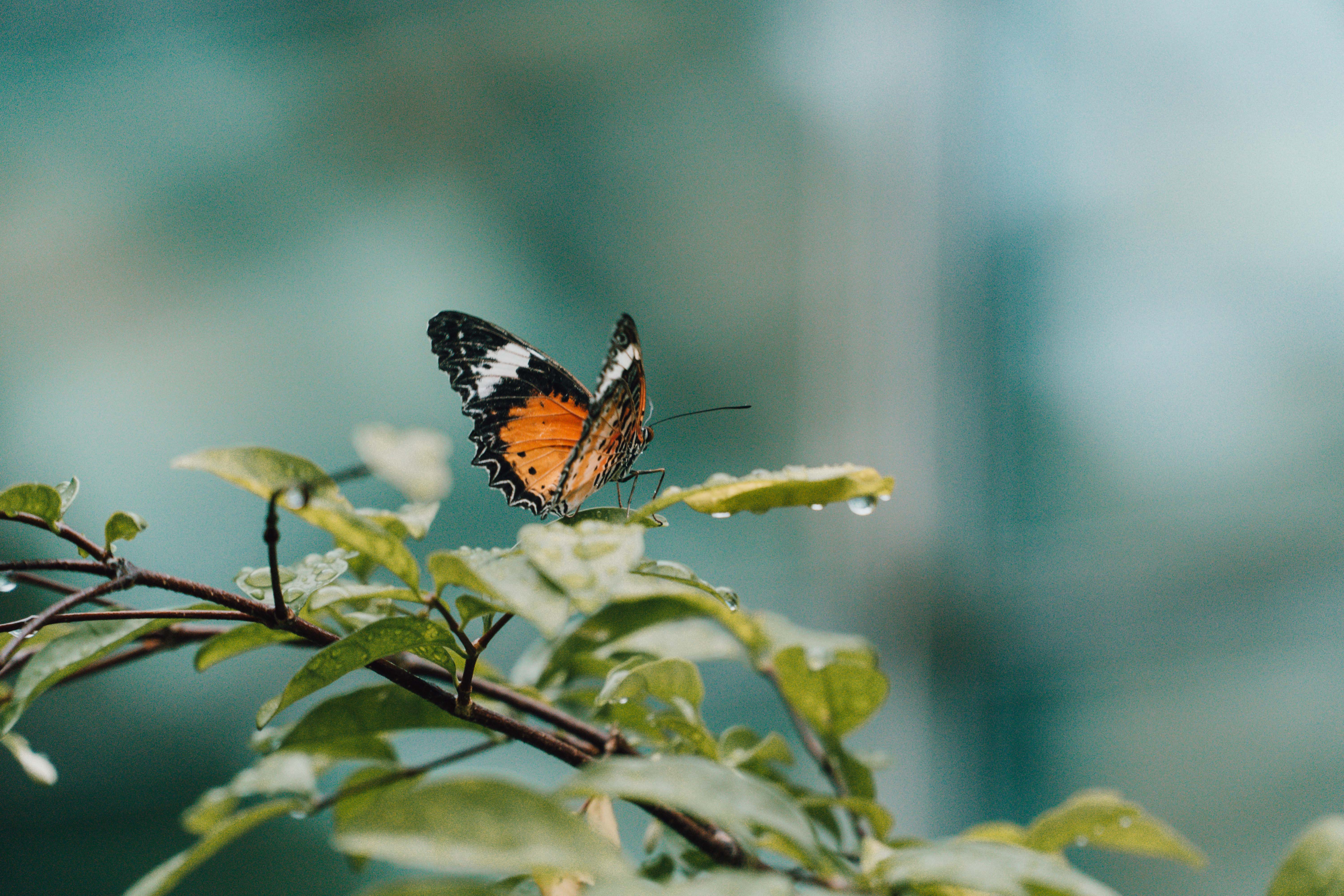 【漾's獨癮】新加坡星耀樟宜免費玩全攻略!其實你不一定要花錢 【漾's獨癮】新加坡星耀樟宜免費玩全攻略!其實你不一定要花錢