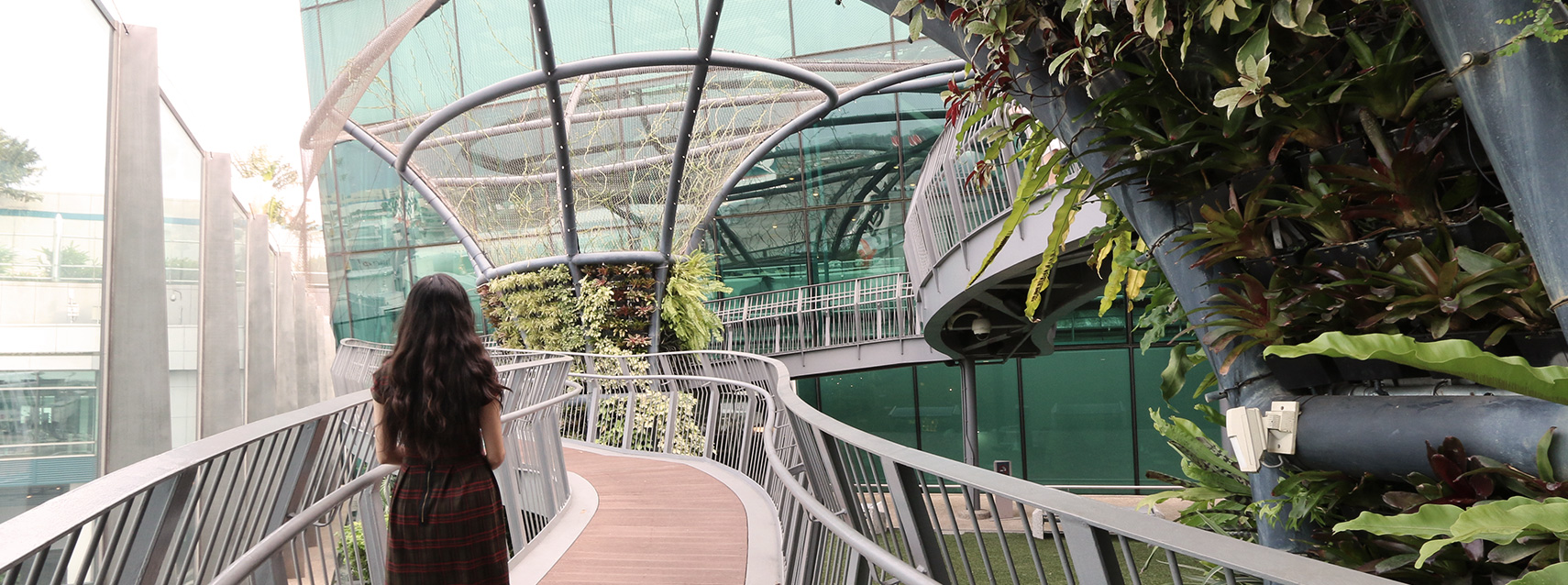 【漾's獨癮】新加坡樟宜機場、星耀樟宜免費玩全攻略!其實你不 【漾's獨癮】新加坡樟宜機場、星耀樟宜免費玩全攻略!其實你不