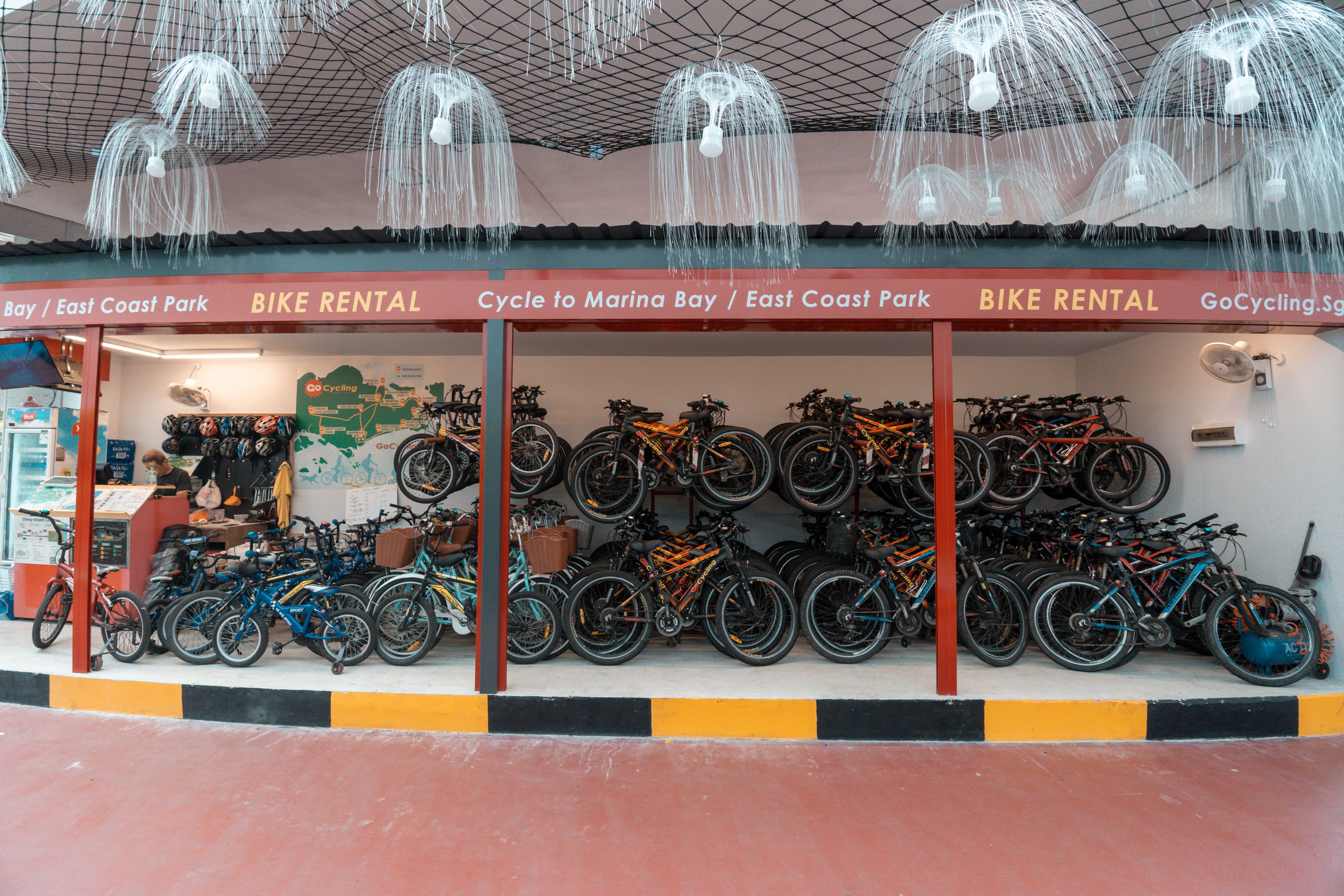 go cycling changi airport