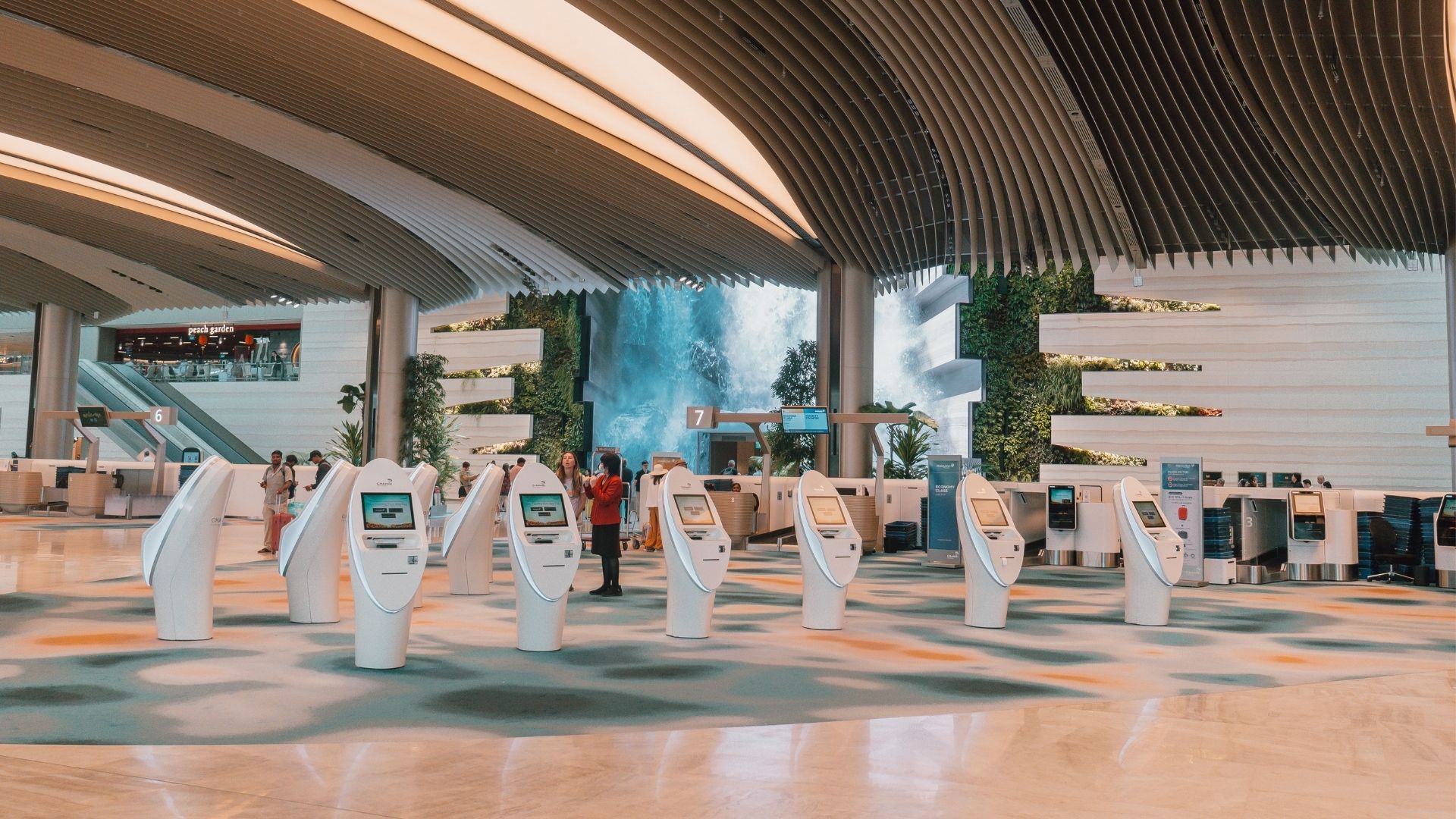 Fast Check-in Changi Airport