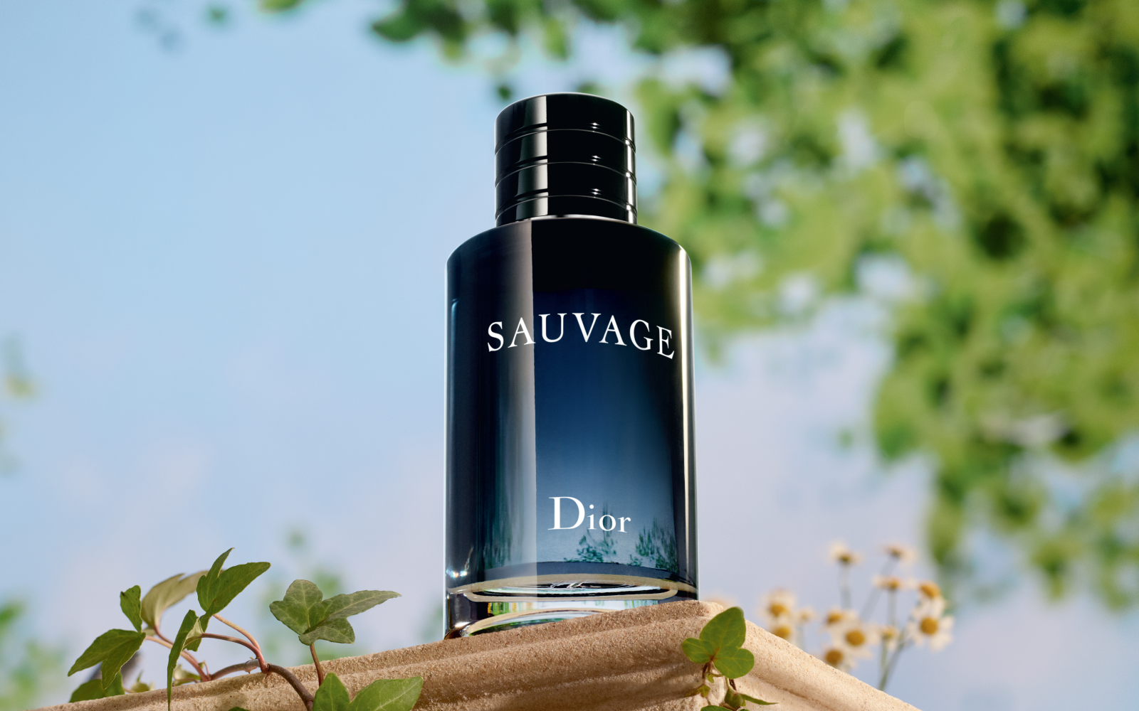 AN INTENSE AND REFRESHING SUMMER