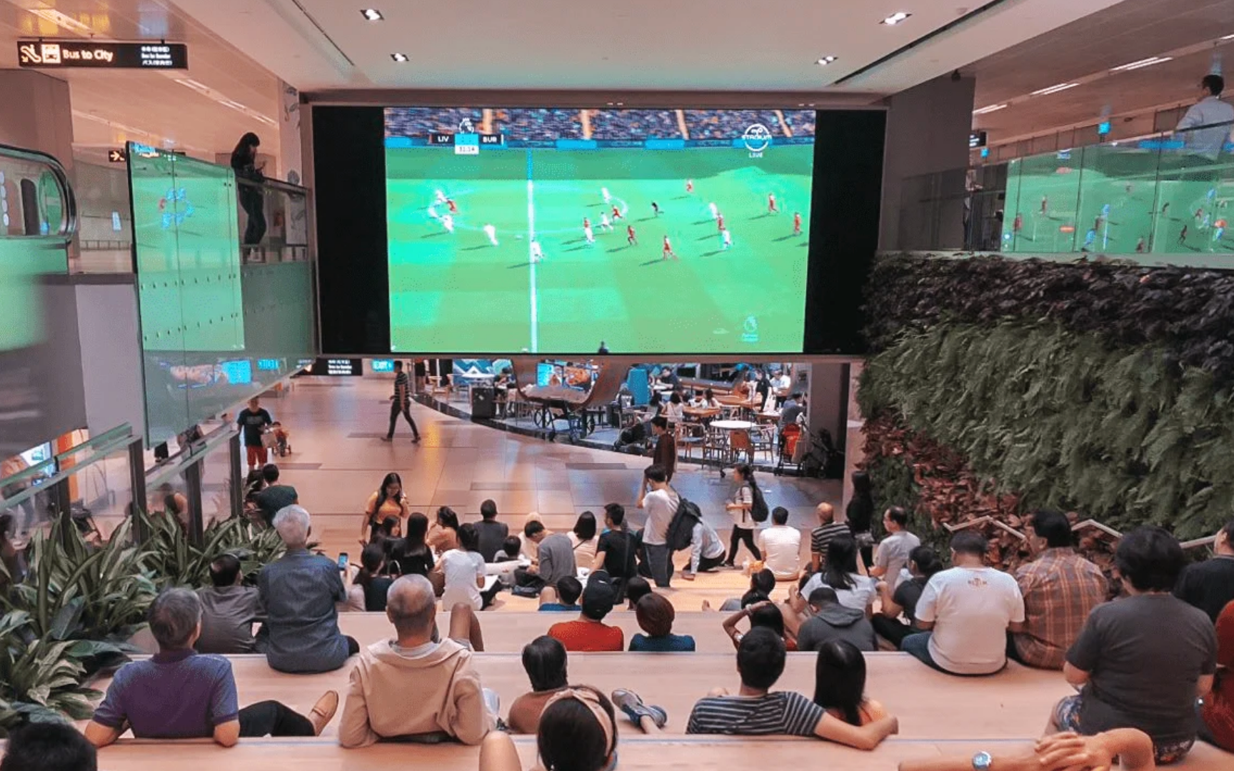Live Football Screening 