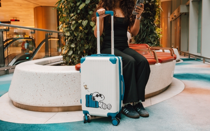 PEANUTS LUGGAGE