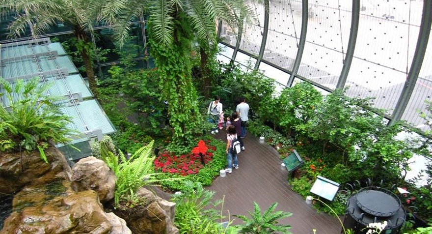 World's first butterfly garden opens